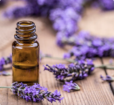 Screenshot 2025-11-06 at 4.16.09 PM